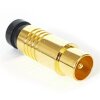 Koaxial TV Stecker Kompressionsstecker Gold 7mm HQ Qualität 15x Stück