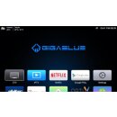 GigaBlue UHD X1 PRO 4K Bluetooth WLan Android 12 IP-TV/OTT 1x DVB-S2x Tuner Media Player